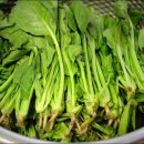 참살이식품(주)