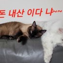 불암산수가든 이미지