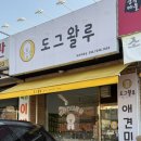 나노네 반려동물 미용 | 도그왈루 반려동물미용 후기｜강아지 위생미용·목욕🐾