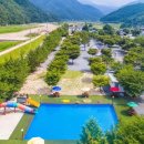 트리캠핑장 | 경주 산내 키즈 물놀이 캠핑장 트리팜캠프 후기 - 수영장,트램플린