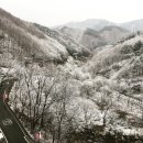 뮤지엄 스테이 이미지