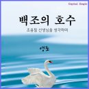 영조 - 백조의 호수 (조용필 선생님을 생각하며) 이미지