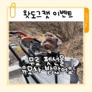 도그니엘 | 왓도그캣 이벤트 무료 펫선물 포로리 유모차 당첨 후기 신청 방법 정리