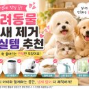 메디크로스랩 | 손님 오기 전에 꼭 보세요! 반려동물 냄새 제거 현실템 추천