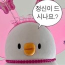강릉본가족발