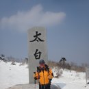 춘성 이미지