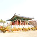 새천년생명의숲 이미지