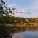 올림픽수영장 이미지