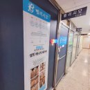 솔샘약국 | 성신여대두피관리 셀핏바디 스칼프핏 벨리시모 헤드스파 후기