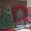 대동맛지도 | [김해 신상카페] 반려동물 동반 가능한 대형카페 ‘카페대동숲’ 솔직 후기