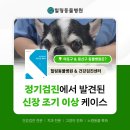 힐링동물병원 &  건강검진센터 이미지