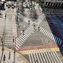 구청 앞 횡단보도 이미지