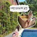 대천 | 한국에서 즐기는 일본료칸 히노끼탕 토모노야 대천 내돈내산 후기