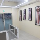 김지순애견미용학원 이미지