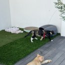 산성가음로 | [대구]군위 화본역 근처 베이커리카페 “만재당”