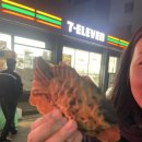 세븐일레븐천안쌍용일성점 이미지