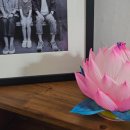 오씨엔 | 내돈내산 OCN-K 주열기, 오키나와 주열기 구매후기, 미쯔이 주열요법