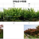 모과나무,단풍(출성),은목서,금목서,홍가시,박태기,배롱나무,측백나무 판매합니다. 구매하실분들 연락주세요. 이미지