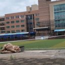 울산상업고등학교 이미지