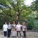 숲길 걷기 동아리 활동 이미지