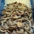 순둥이한끼 이미지