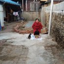 금포초등학교 이미지