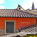 노벨라 별하나 이미지