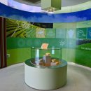 한국차문화공원 이미지