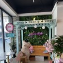 나불지공영주차장 이미지