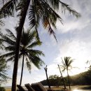 스위트카 이미지