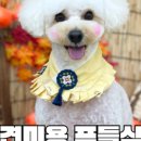 멍풀하우스 이미지