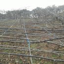 서포농장 이미지