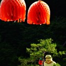 화신먹을거리 - 5028 | 화신먹을거리