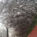 서울신방학초등학교 이미지