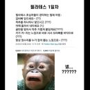 1박2일회수산 이미지