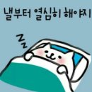도빈