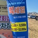 루루섬의 비밀 | [일상 기록]"애견 동반 가능한 2026 공주 군밤 축제 다녀온 솔직 후기ㅣ 생각보다 더 좋았던 이유"