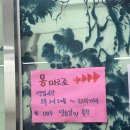 몽마르죠 | [광주] 진월동 술집 몽마르죠/진월동 굴보쌈/진월동 포차