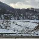 주봉보건진료소 이미지