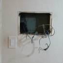 보우근화 이미지