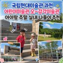 국립현대미술관 과천, 어린이미술관 오~감각미술관｜아이랑 주말 실내 나들이 추천
