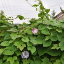 동두천역 이미지