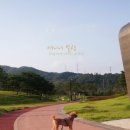 써니발전소 이미지