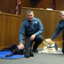 로얄동물메디컬센터w 이미지