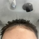 유로빌리지 2단지 | 파주 운정 미용실 유로소헤어 운정역점 클리닉 무릉도원이세요