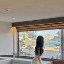 파라스테이 이미지