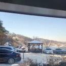 우진흑염소