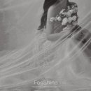 더샤인디테일 이미지