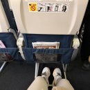 제주골드 민박 | 여자 혼자 이탈리아 I 로마, 피렌체 여행 6박6일 (1)