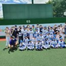 고양리틀야구장 이미지